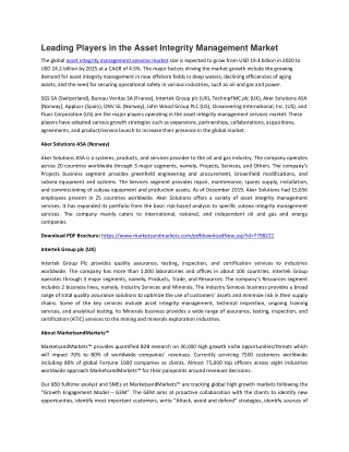 leading players in the asset integrity management