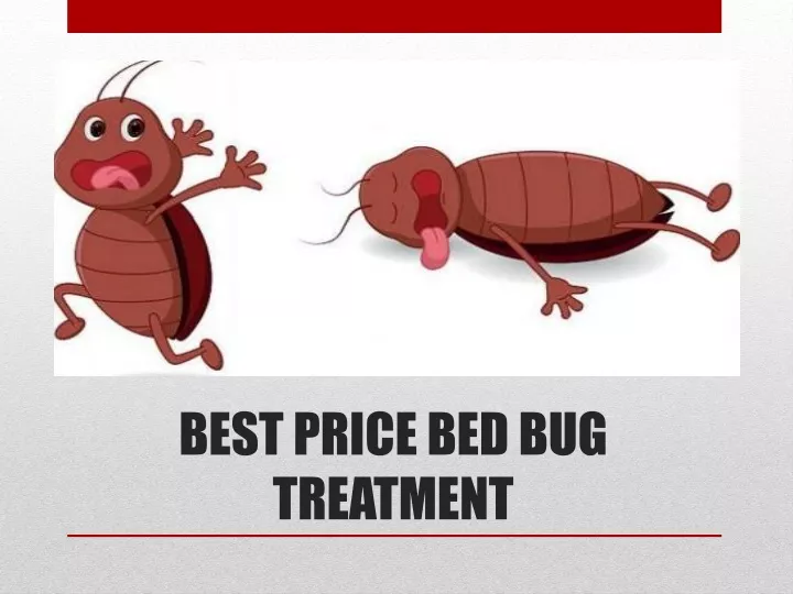 best price bed bug treatment