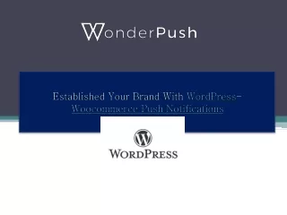 Try Wordpress Push Notification Plugin For Free at WonderPush