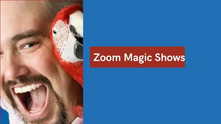 zoom magic shows