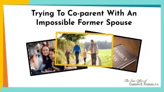 trying to co parent with an impossible former