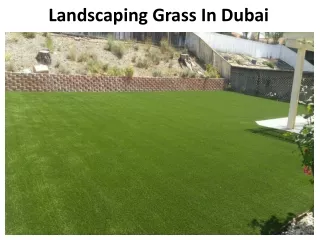 Landscaping Grass Dubai