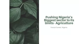 Farouk Gumel | Pushing Nigeria’s Biggest sector to its limits - Agriculture