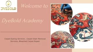 Our Carpet Dyeing Services.