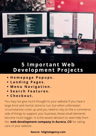 5 important web development projects