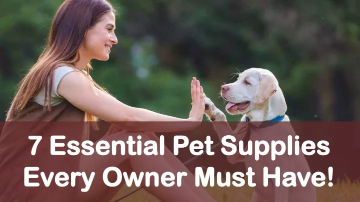 7 essential pet supplies every owner must have
