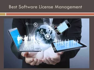 Best Software License Management