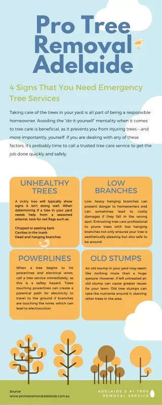 Pro Tree Removal Adelaide [Infographic]