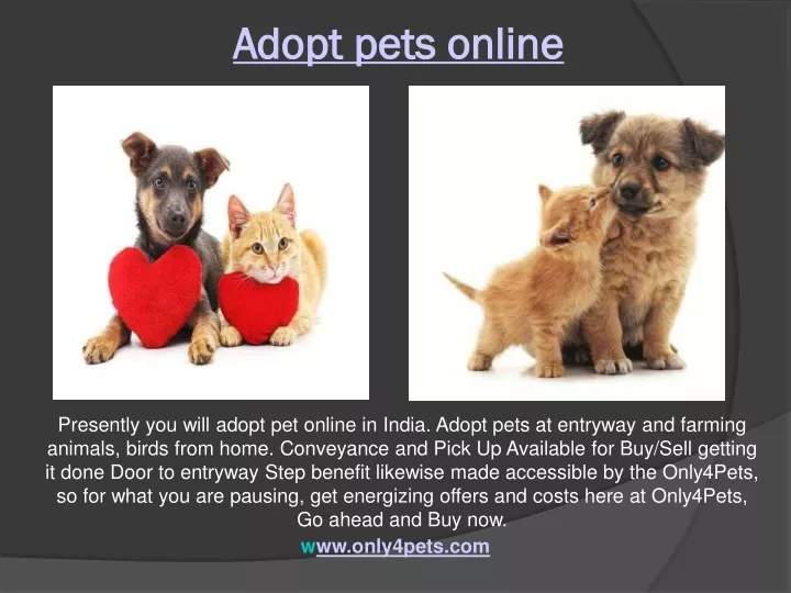 adopt pets online