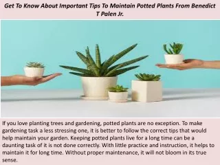 Get To Know About Important Tips To Maintain Potted Plants From Benedict T Palen Jr.