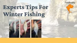 Find Out The Winter Fishing Lakes Near Me | Fishbuddy Directory
