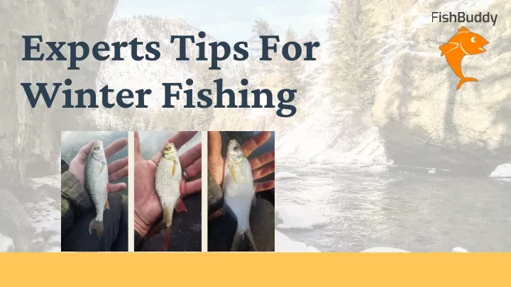 experts tips for winter fishing