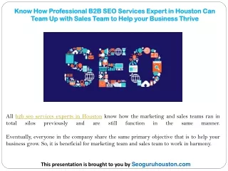 know how professional b2b seo services expert
