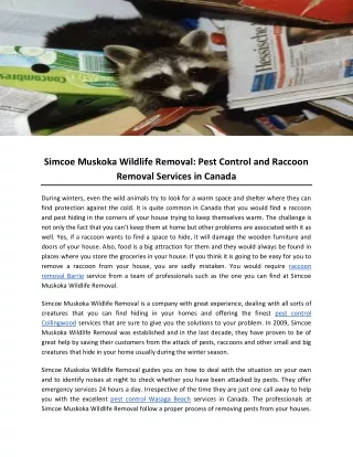 Simcoe Muskoka Wildlife Removal: Pest Control and Raccoon Removal Services in Canada