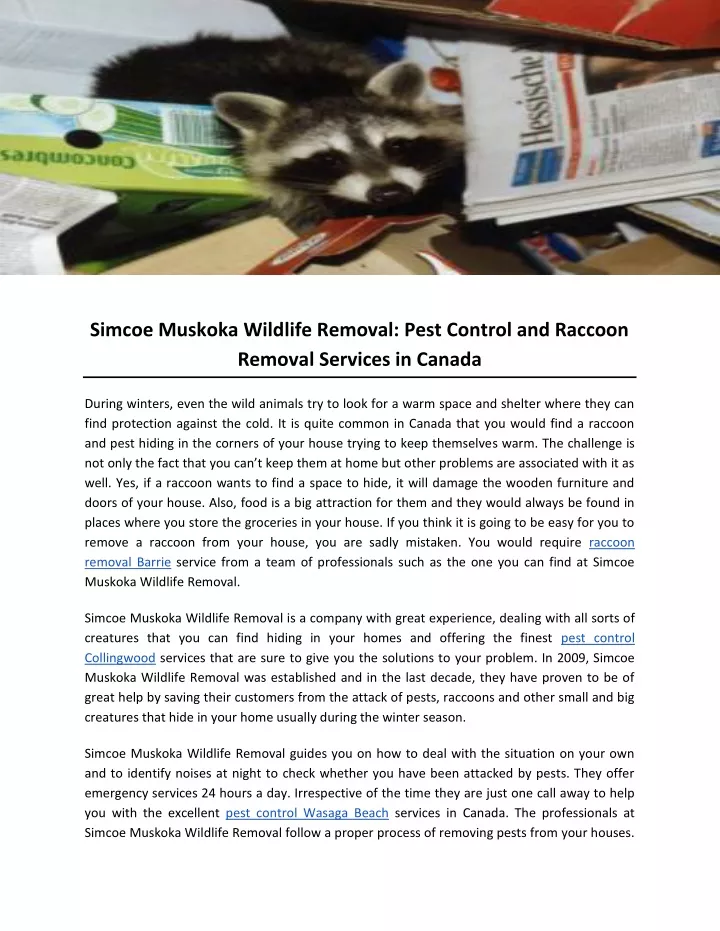 simcoe muskoka wildlife removal pest control