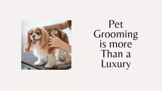pet grooming is more than a luxury