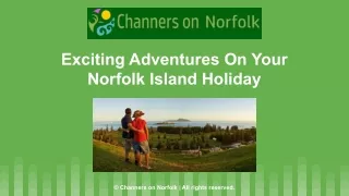 Exciting Adventures On Your Norfolk Island Holiday