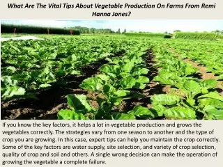 What Are The Vital Tips About Vegetable Production On Farms From Remi Hanna Jones?