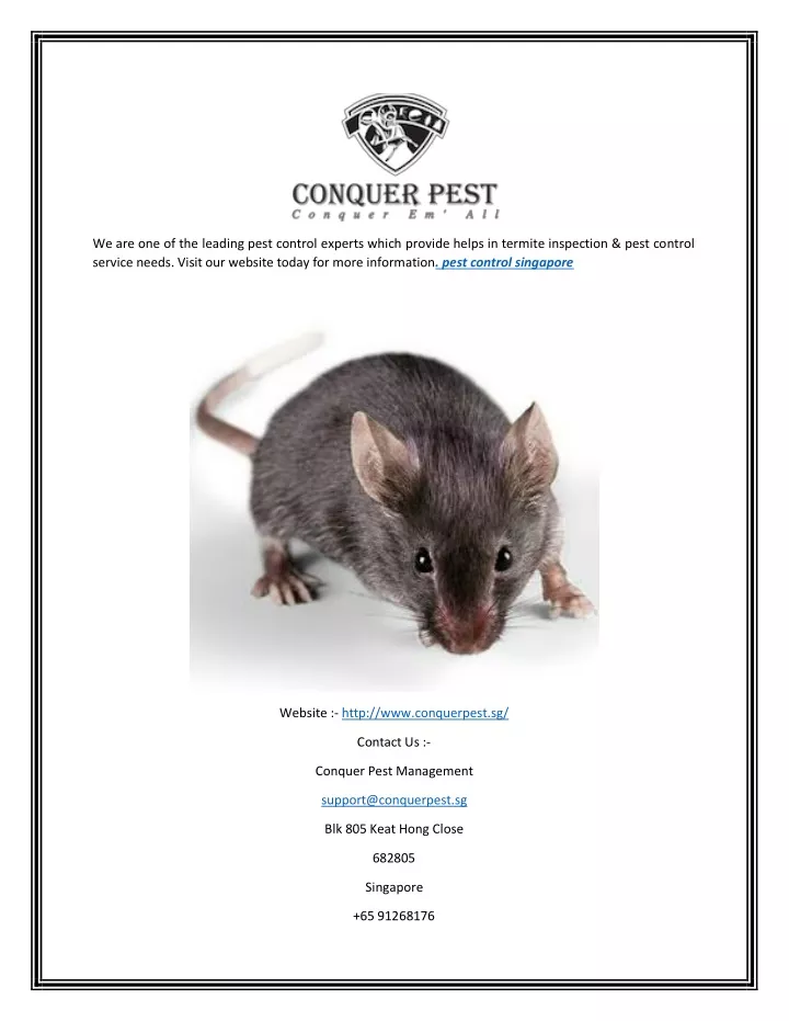 we are one of the leading pest control experts