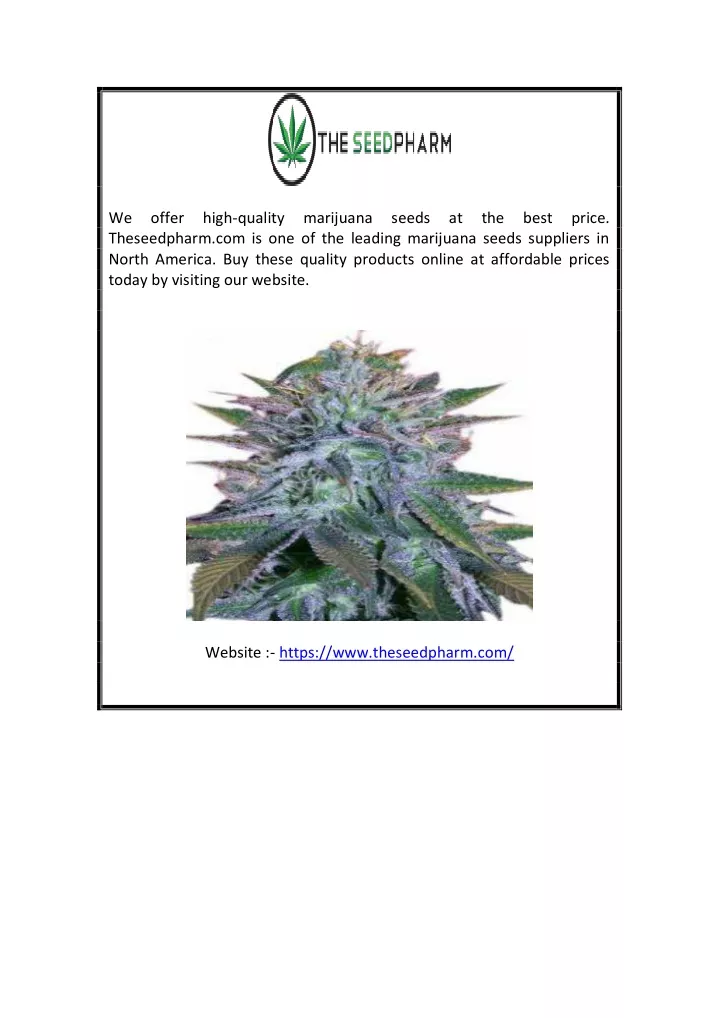 we offer high quality marijuana seeds at the best