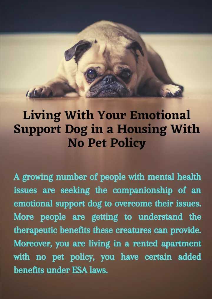 living with your emotional support