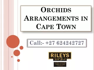 Orchids Arrangements in Cape Town
