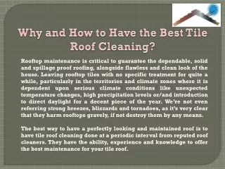 Why and How to Have the Best Tile Roof Cleaning?