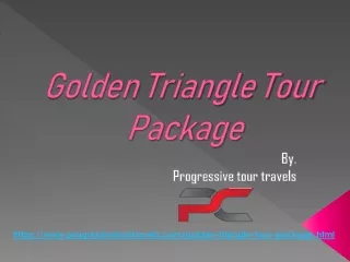 golden triangle tour package