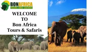 WelcomeTo BonAfrica Tours & Safaris