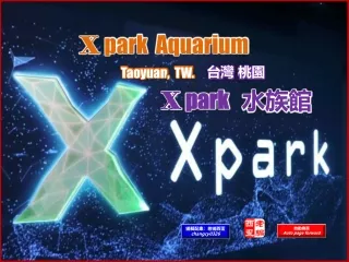 x park aquarium taoyuan tw