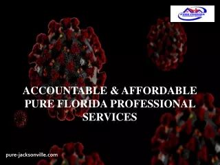 Accountable & Affordable Pure Florida Professional Services
