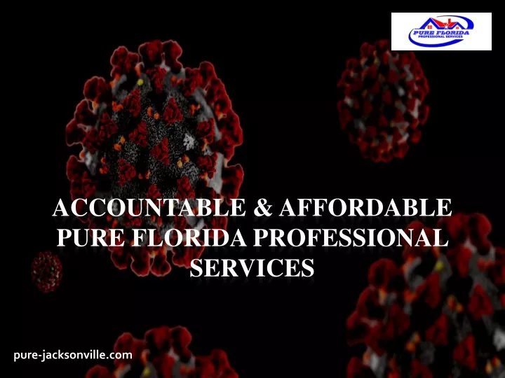 accountable affordable pure florida professional services