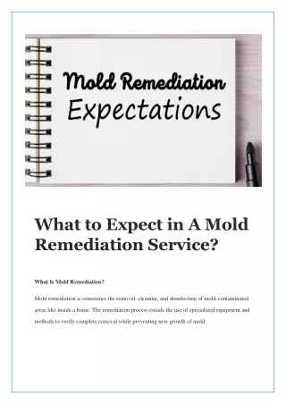 What to Expect in A Mold Remediation Service?