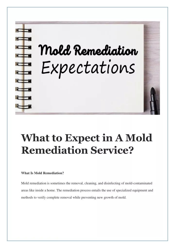 what to expect in a mold remediation service