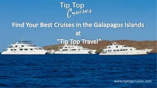 Find Your Best Cruises in the Galapagos Islands at “Tip Top Travel”