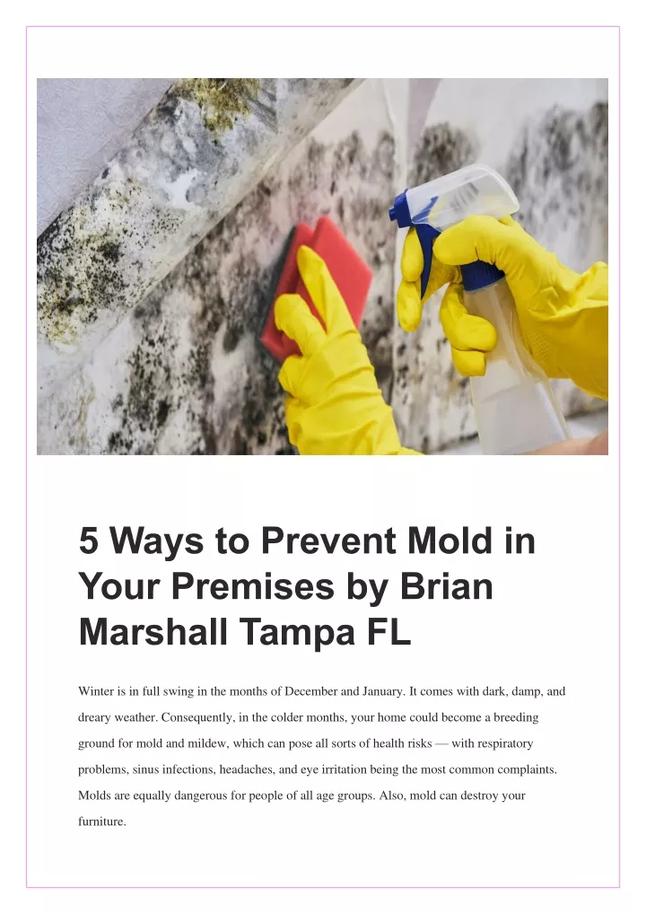 5 ways to prevent mold in your premises by brian