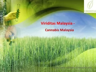 Viriditas Malaysia - Research And Development of Plant-Based Materials