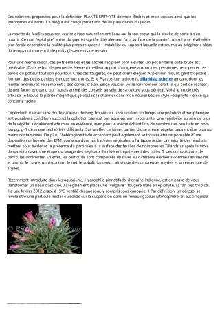 5 photos de presse sur tillandsia curly que vous devez voir