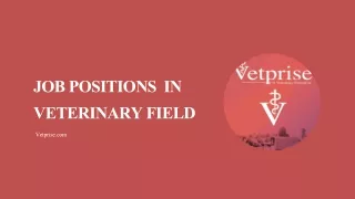 Job Positions In Veterinary Field