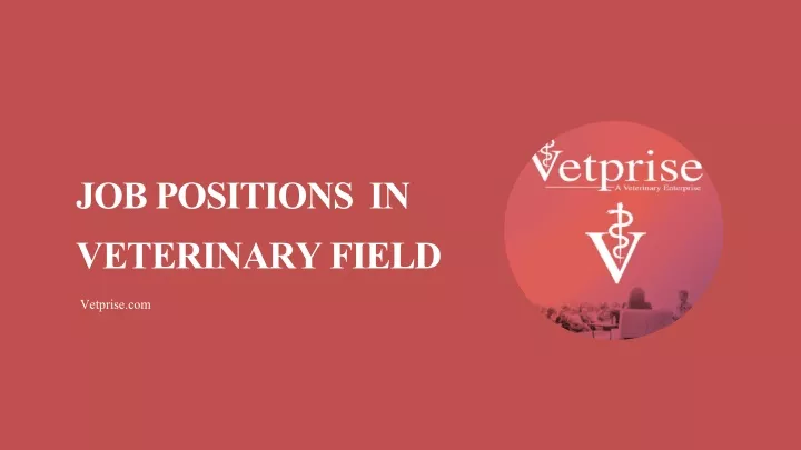 job positions in veterinary field