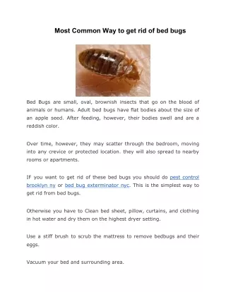 Bed Bug Exterminator Brooklyn NY | Best Choice Pest Control