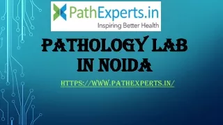 pathology lab in noida