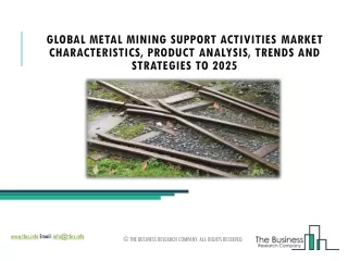 global metal mining support activities market