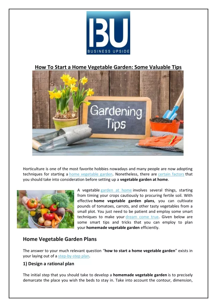 how to start a home vegetable garden some