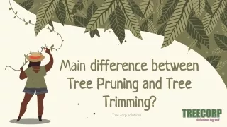 Main difference between Tree Pruning and Tree Trimming?