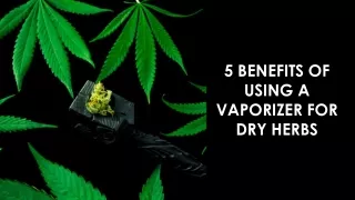 5 benefits of using a vaporizer for dry herbs