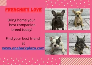 Frenchie'Ss Love!