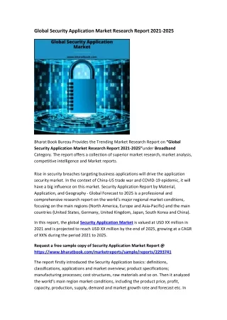 global security application market research