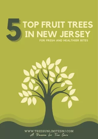 The 5 Top Fruit Trees for New Jersey