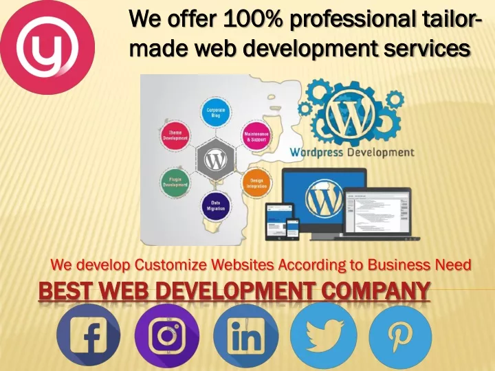 we develop customize websites according to business need